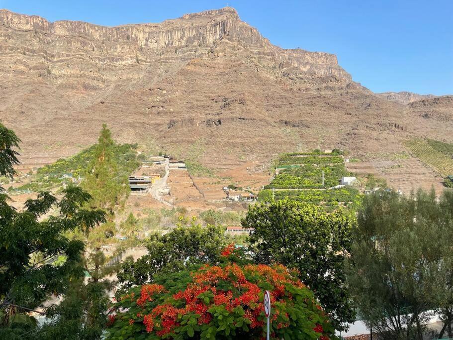 Cycling Holiday, 11 Km From Arguineguin Las Casillas  Luaran gambar